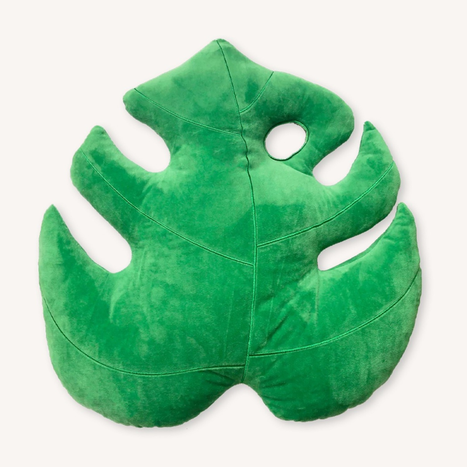 Contemporary Plant Pillows - image-3