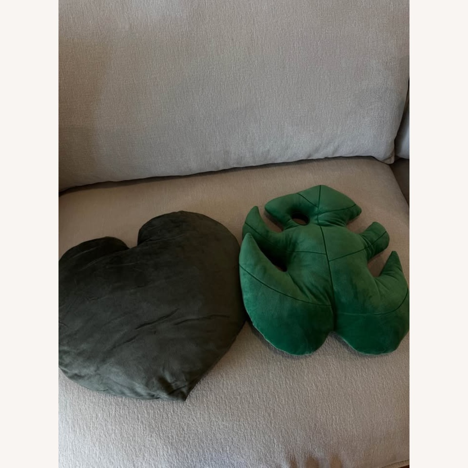 Contemporary Plant Pillows - image-2