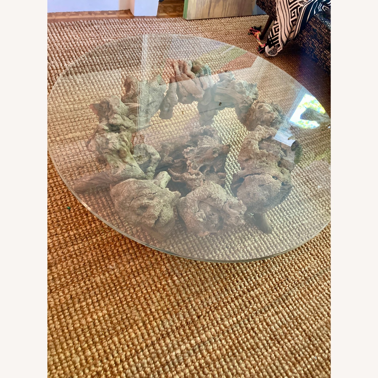 Glass Coffee Table with Sculptural Burl Wood Base - image-4
