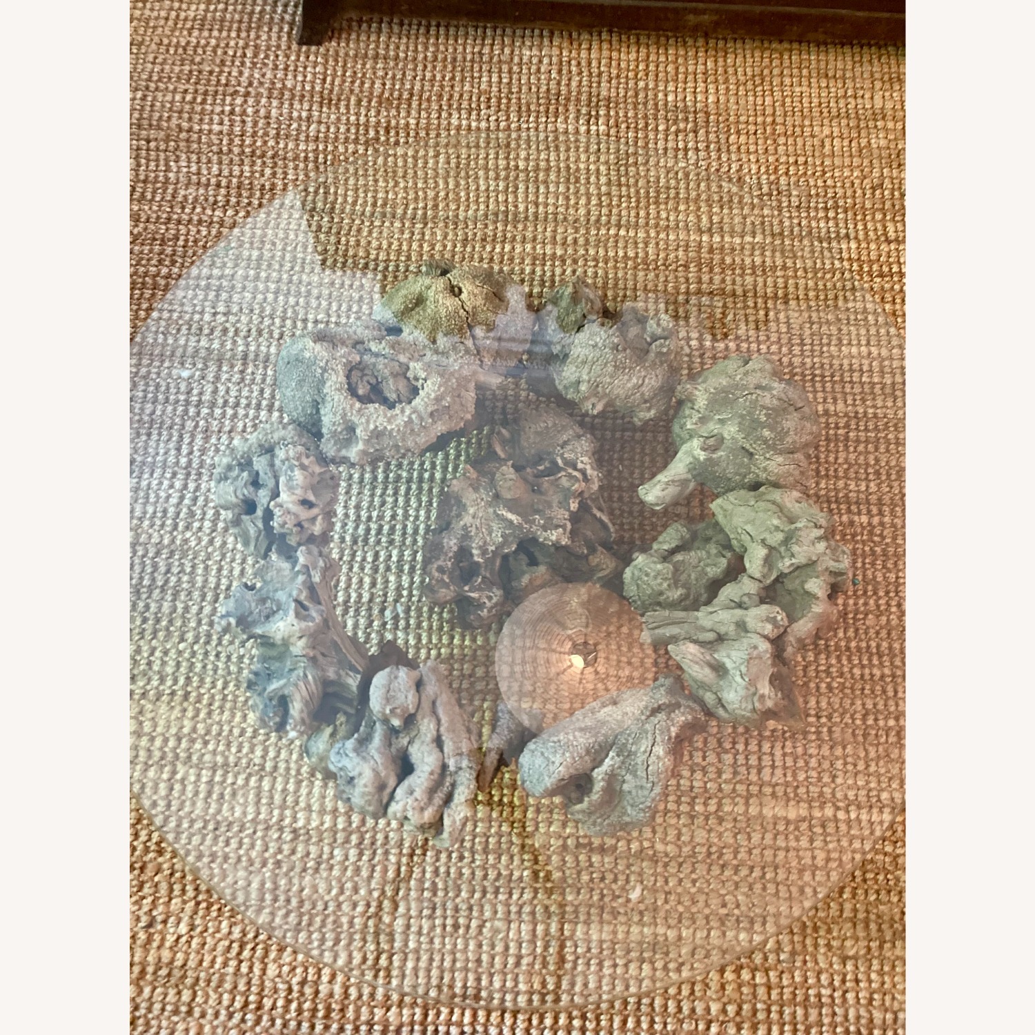 Glass Coffee Table with Sculptural Burl Wood Base - image-2