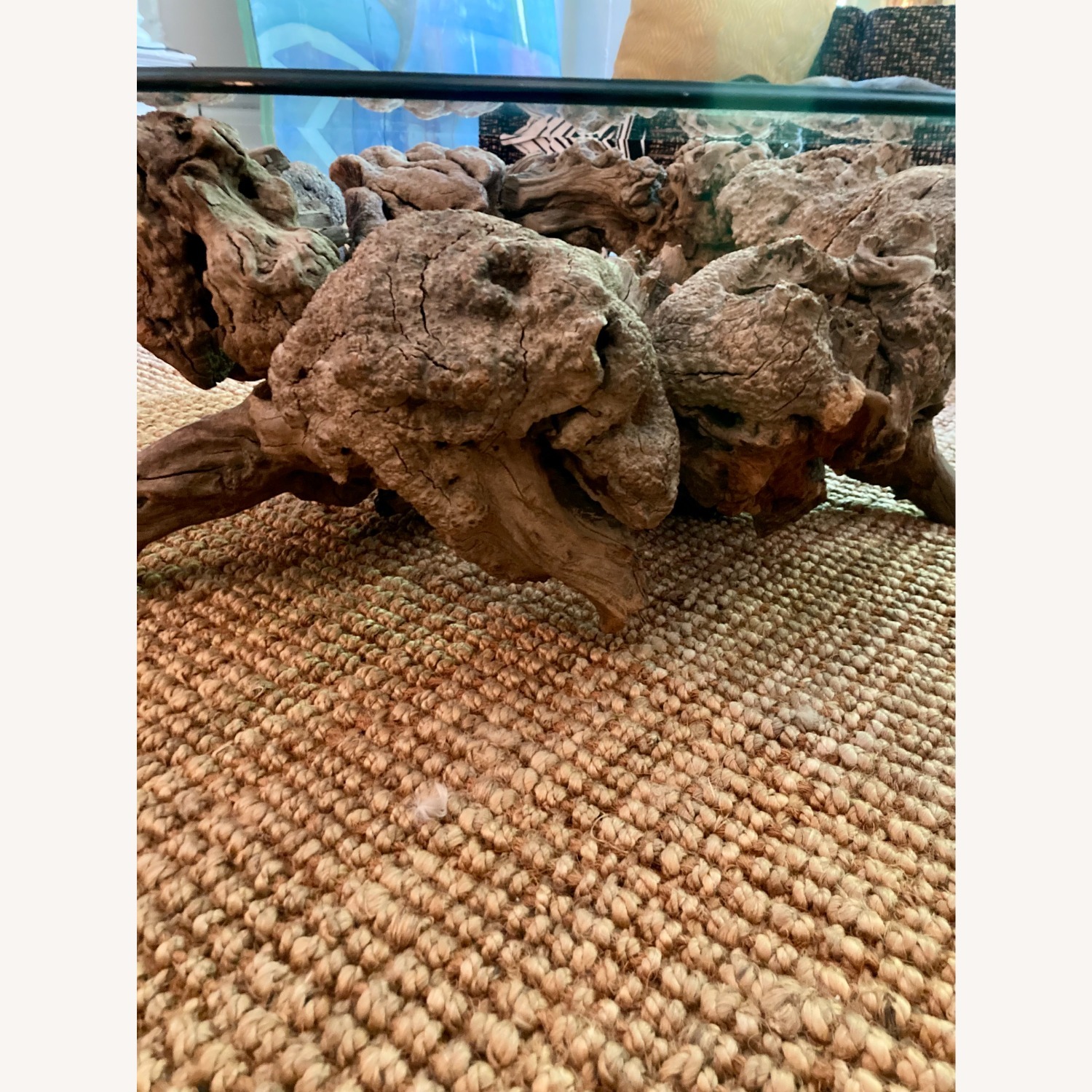 Glass Coffee Table with Sculptural Burl Wood Base - image-3
