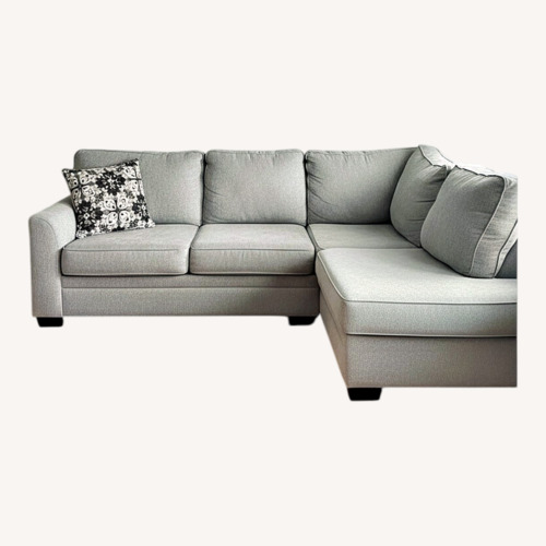 Used Raymour & Flanigan Light Gray 3+ Piece Sectional for sale on AptDeco