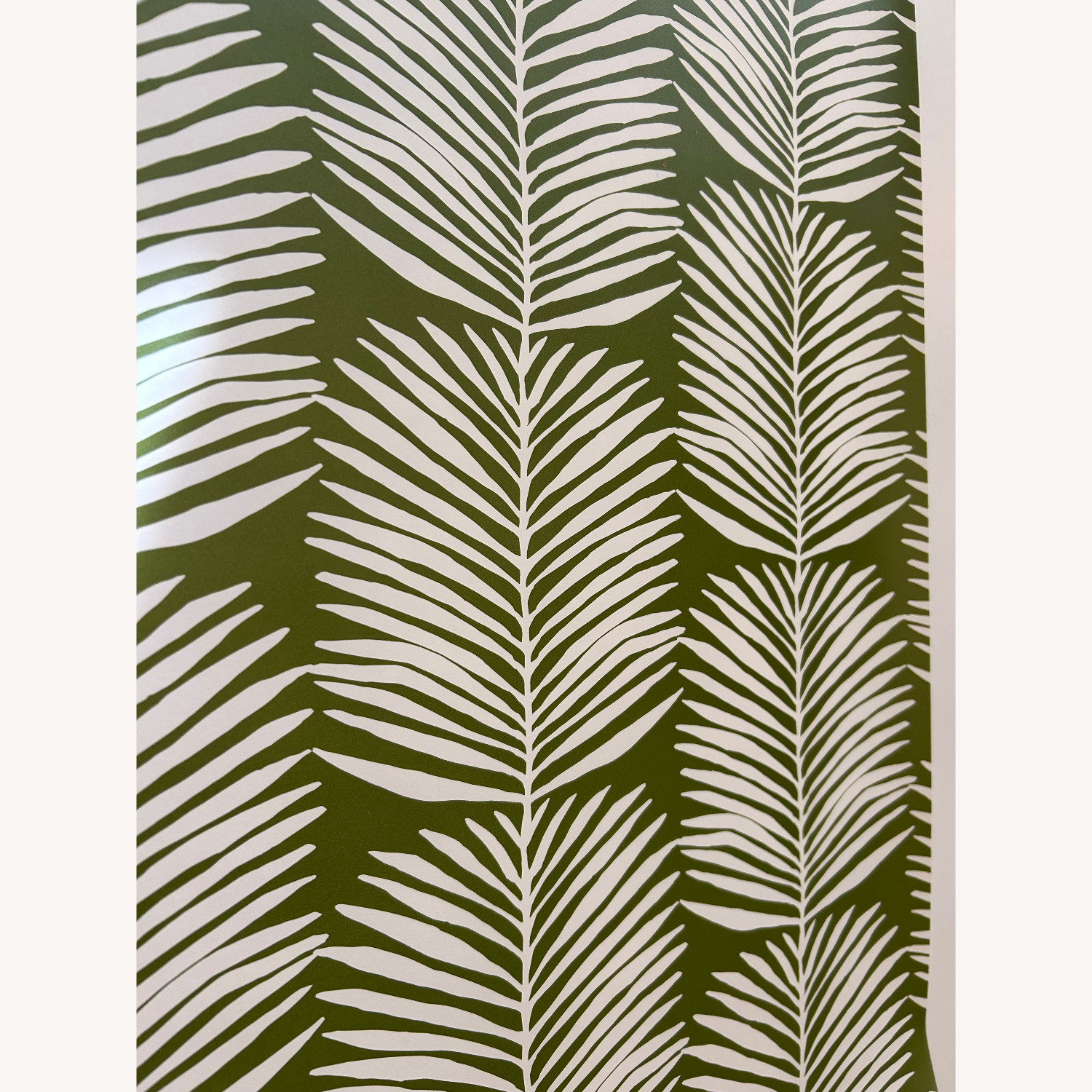 Green & White Palm Leaf Premium Wallpaper - image-4
