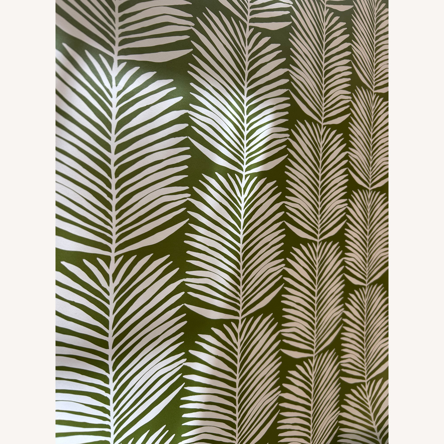 Green & White Palm Leaf Premium Wallpaper - image-5