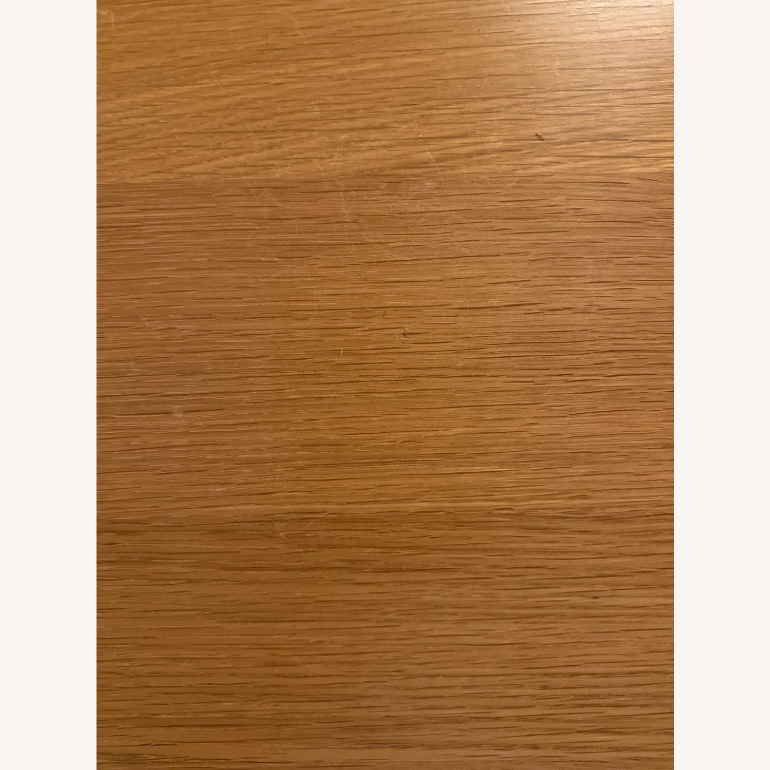 Amazon Natural Wood Veneer Dining Table - image-6