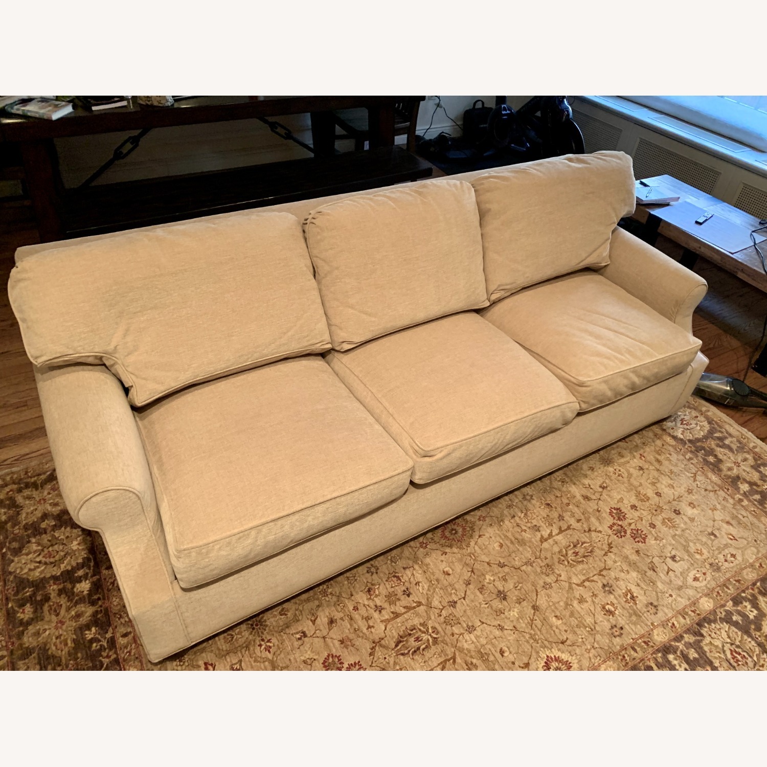 Ferrell Mittman Natural Fabric Sleeper Sofa - image-4