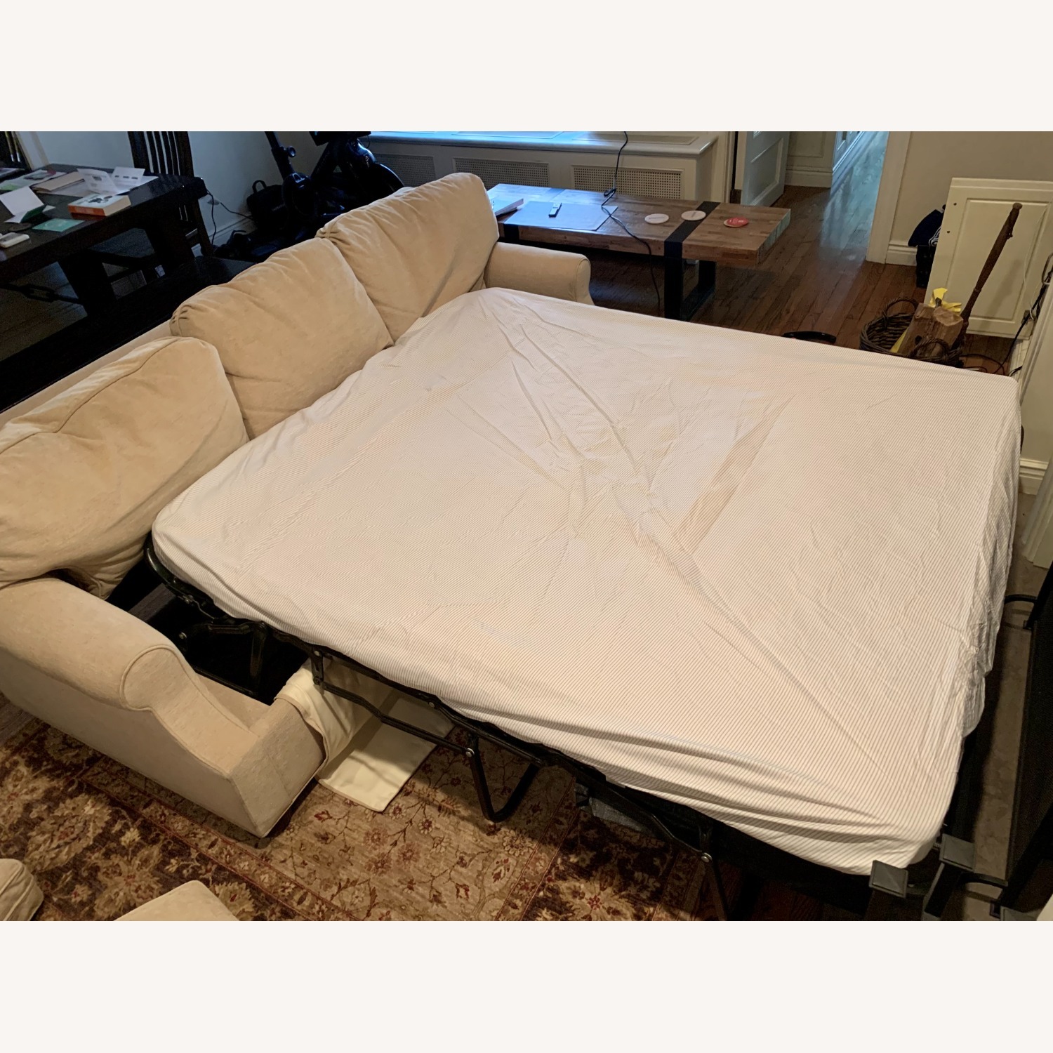 Ferrell Mittman Natural Fabric Sleeper Sofa - image-2