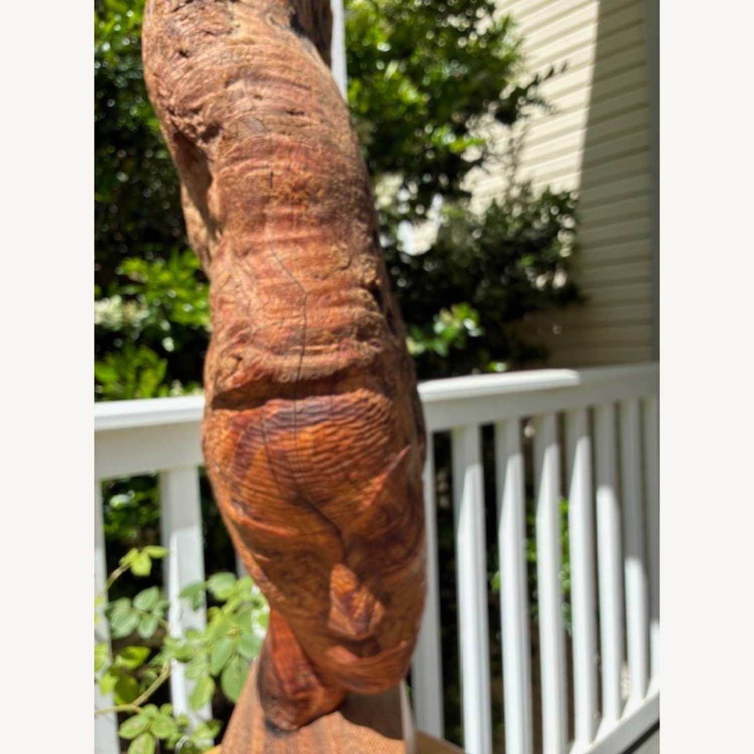 John Chin Young Driftwood Sculpture  - image-2