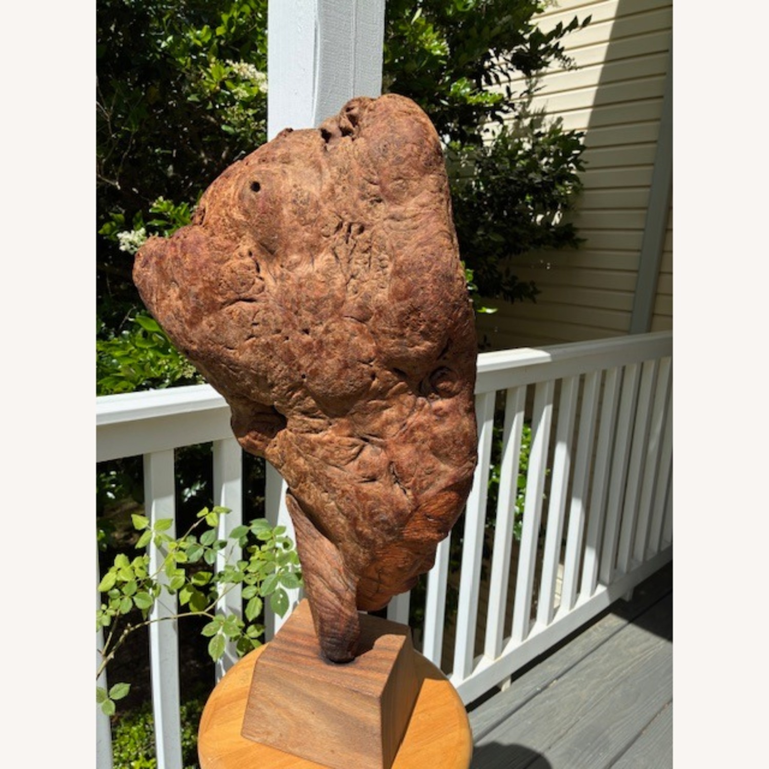 John Chin Young Driftwood Sculpture  - image-3