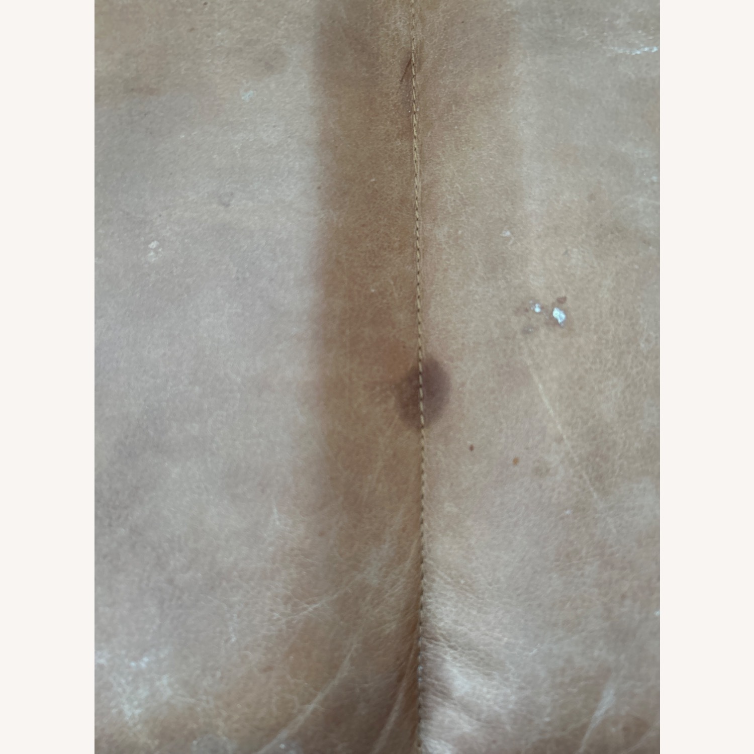 CB2 Sottile Brown Leather Chrome Chairs - image-5
