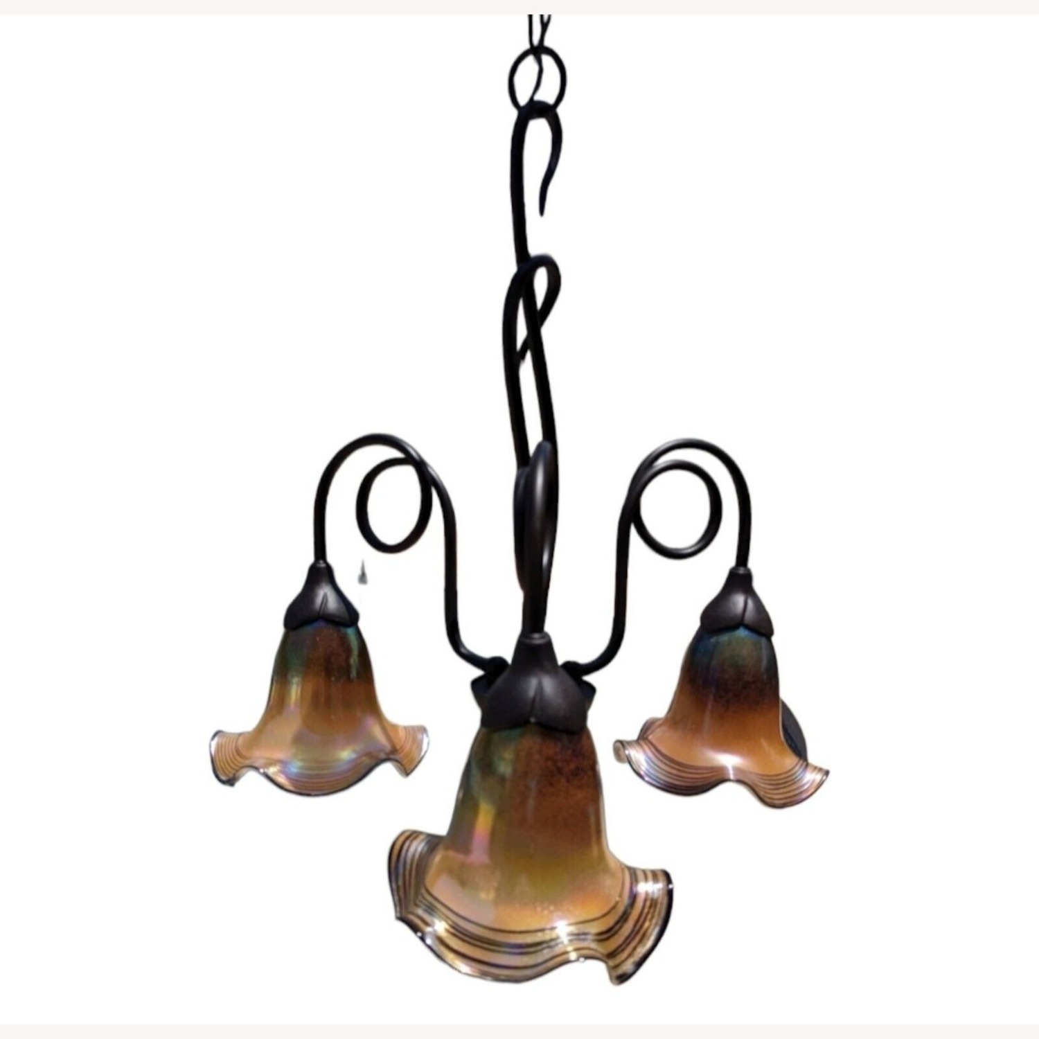 Quoizel Salamander Dark Brown Wrought Iron Chandelier - image-1