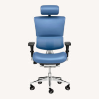 Xchair Massage