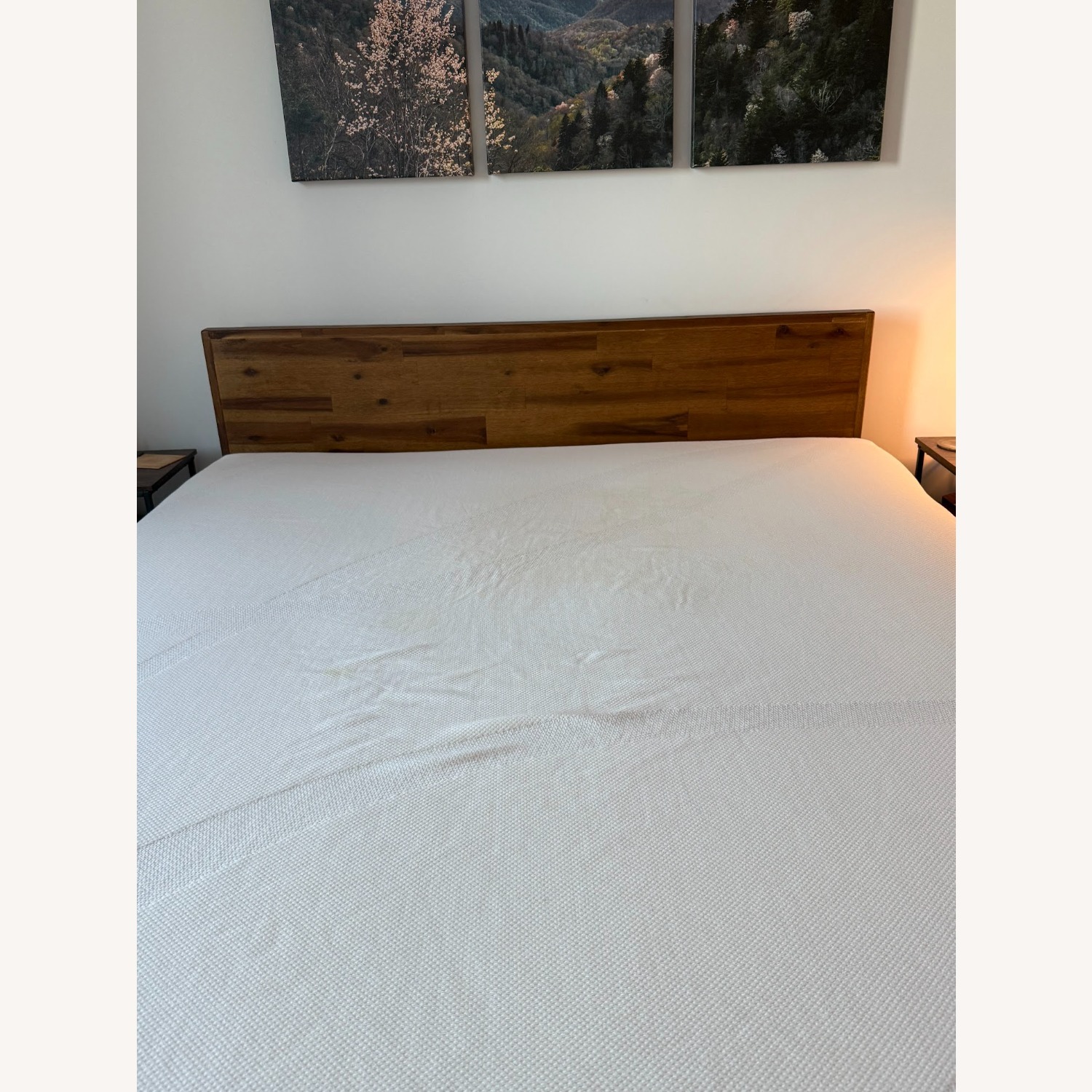 Mercury Row Radabaugh Low Profile Platform Bed - image-3