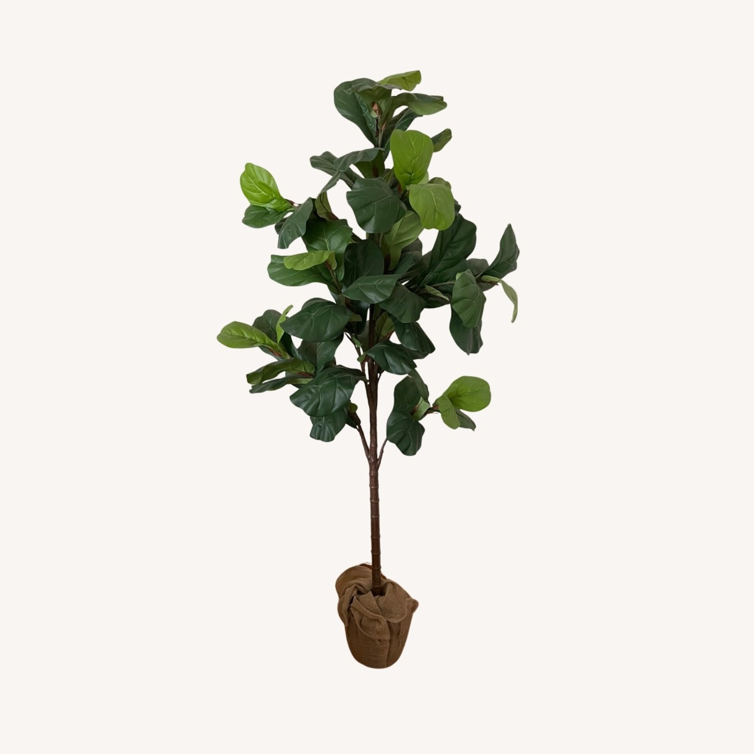 Pottery Barn Fig Leaf Tree - image-1