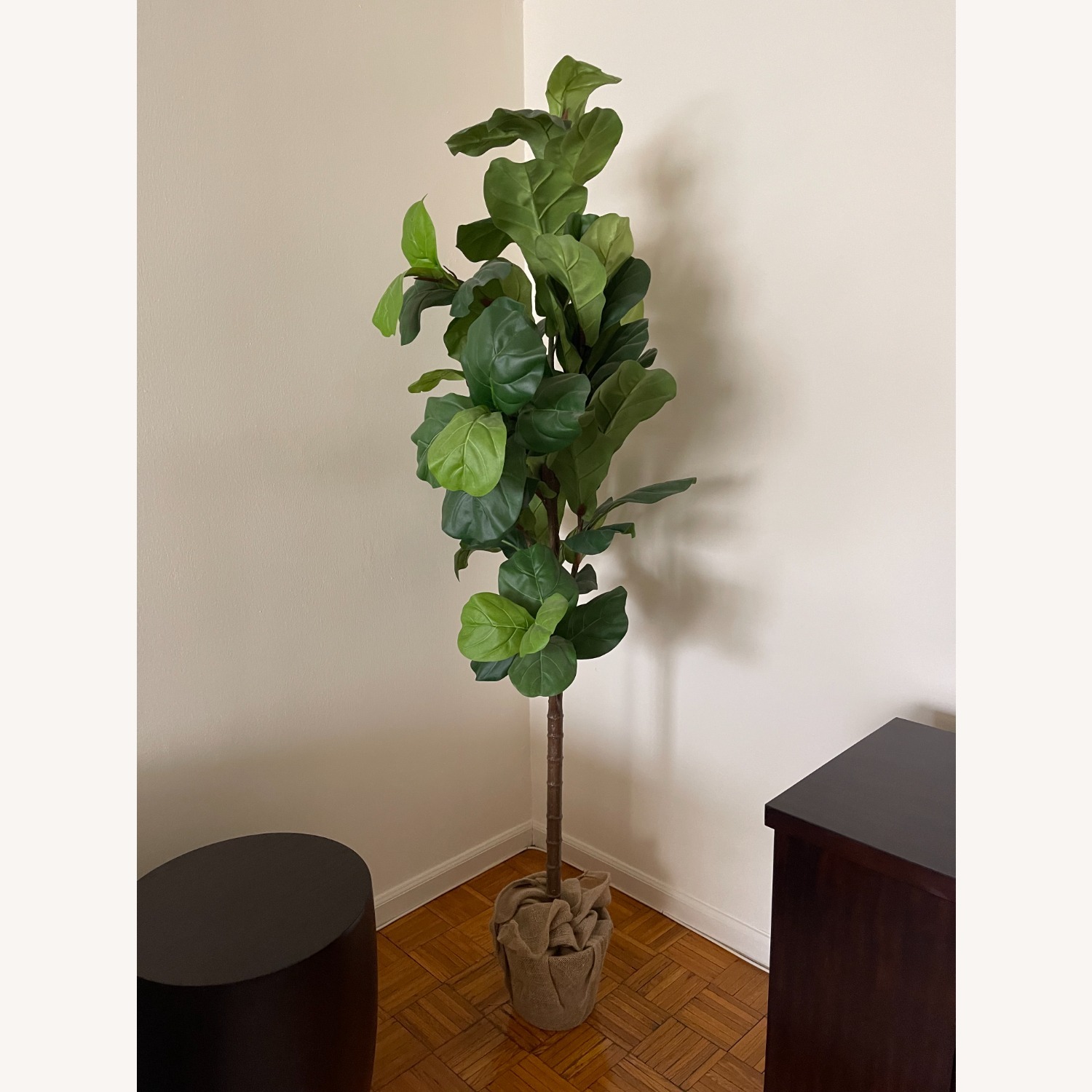 Pottery Barn Fig Leaf Tree - image-2