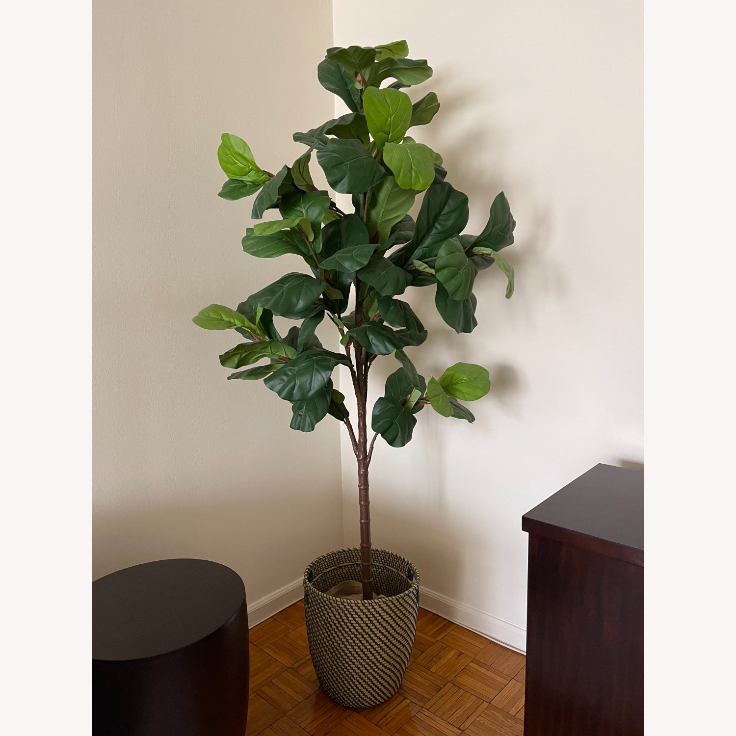 Pottery Barn Fig Leaf Tree - image-5
