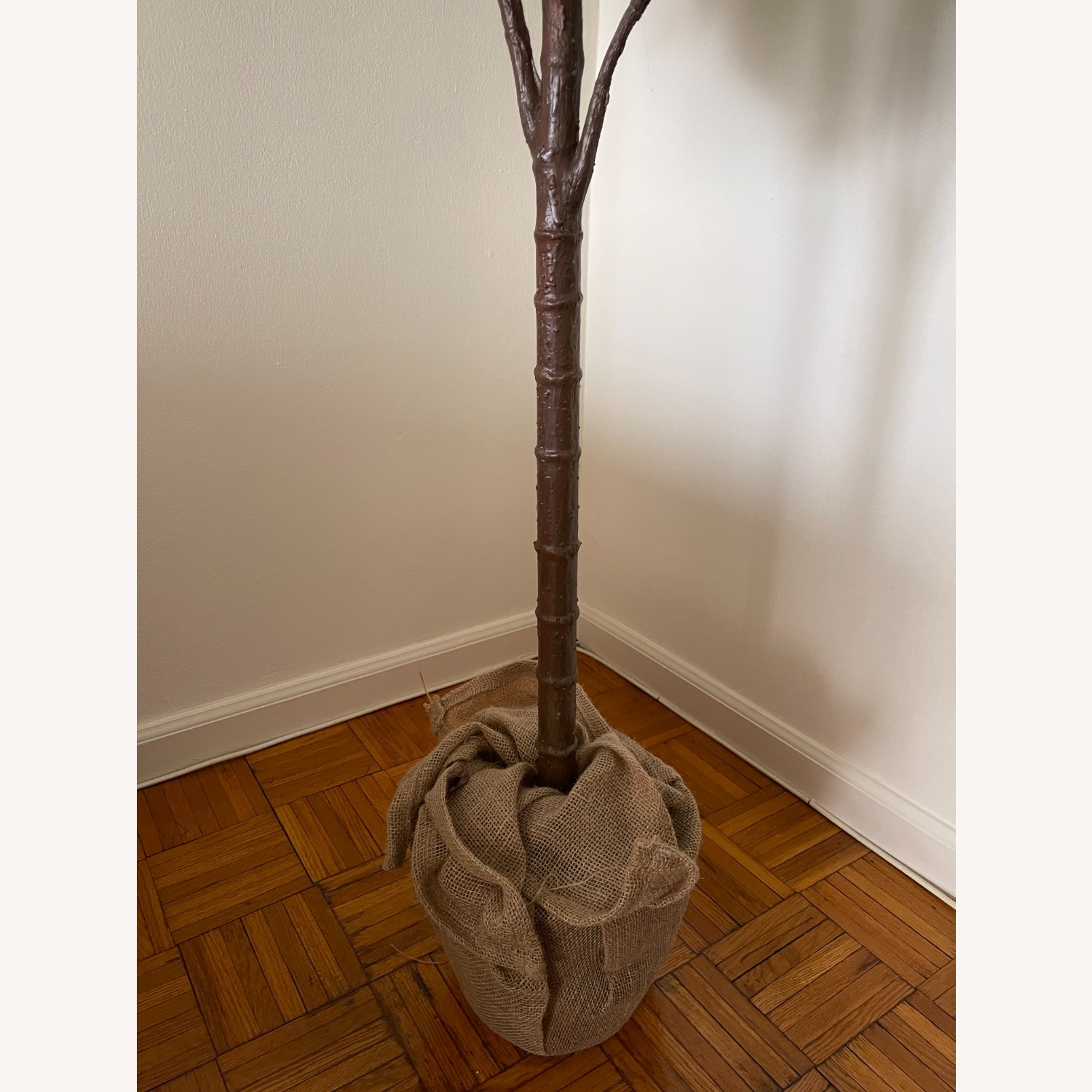 Pottery Barn Fig Leaf Tree - image-4