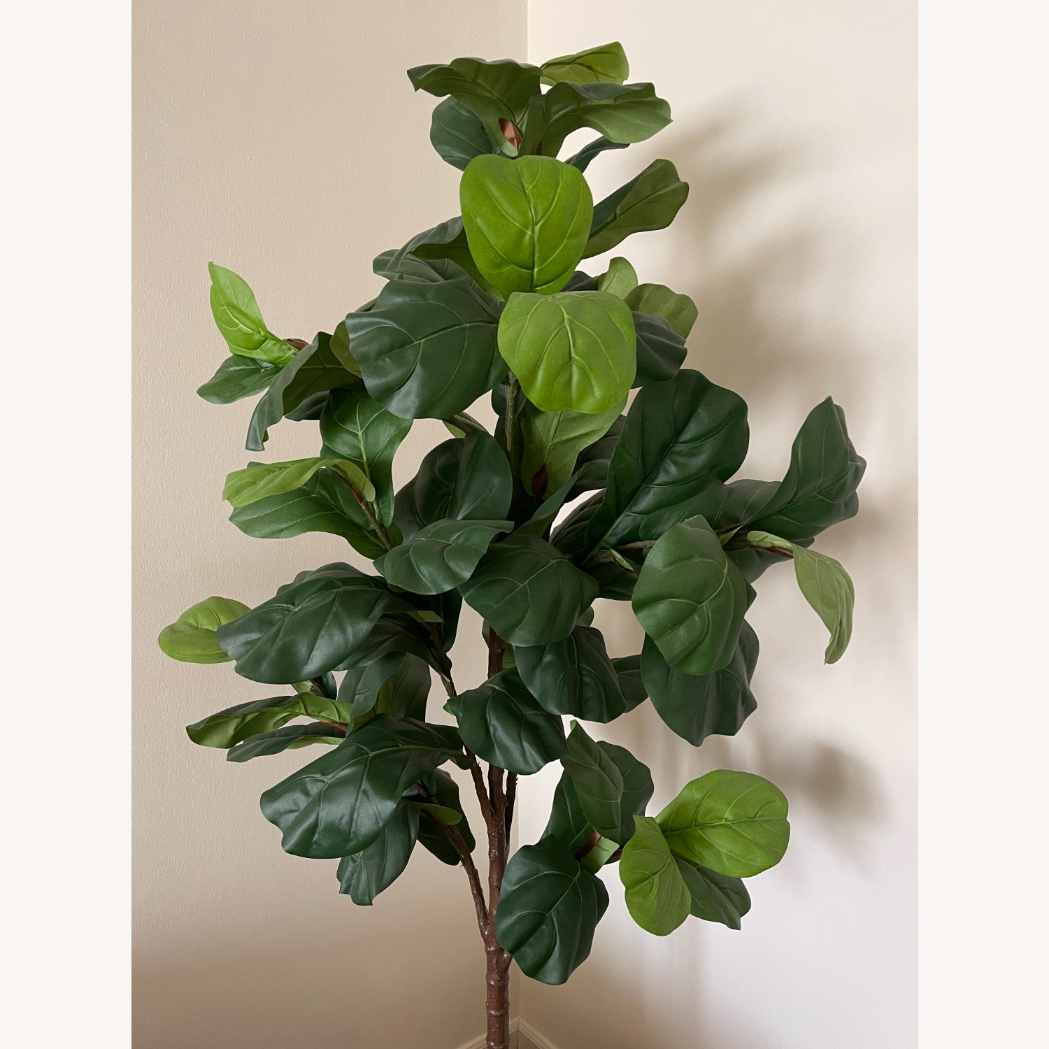 Pottery Barn Fig Leaf Tree - image-3