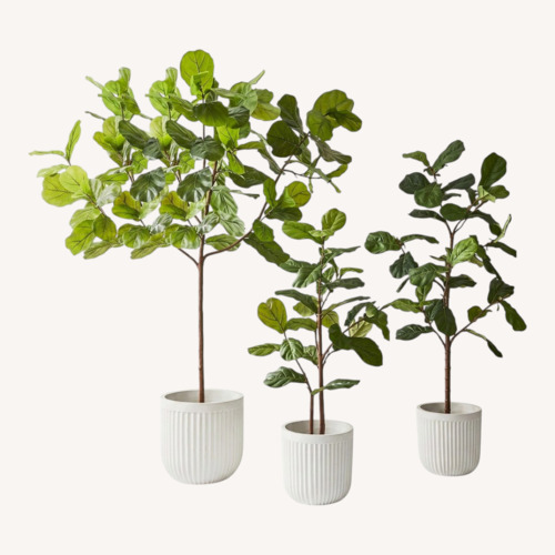 Used Pottery Barn Fig Leaf Tree for sale on AptDeco