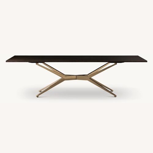 Used Restoration Hardware Maslow Spider Rectangular Dining Table  for sale on AptDeco