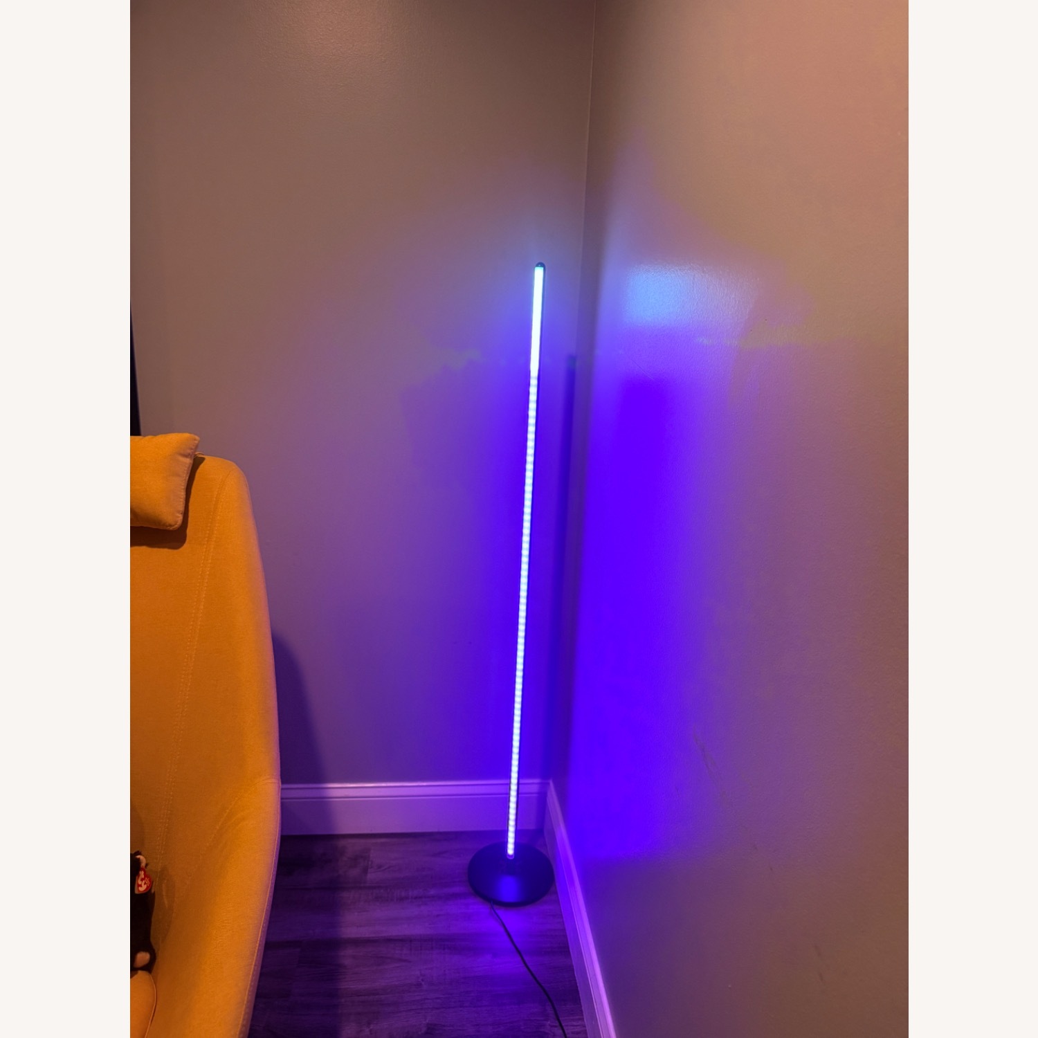 Govee Floor Lamp  - image-2
