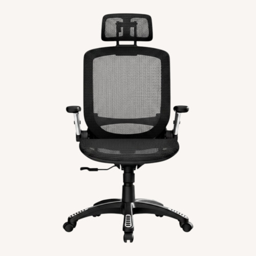 Used Gabrylly Ergonomic Office Chair for sale on AptDeco