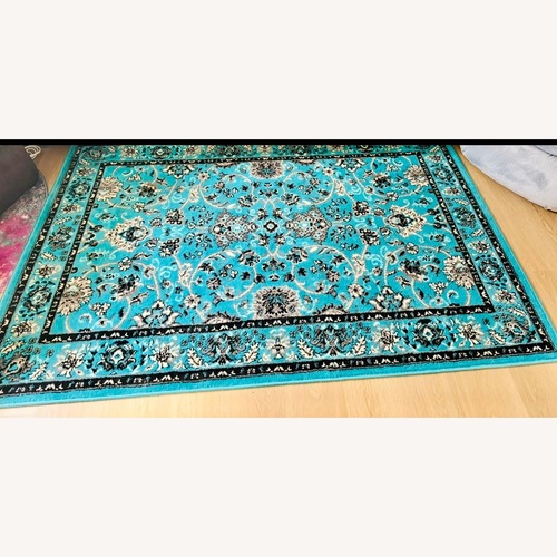 Used  Teal Area Rug  for sale on AptDeco