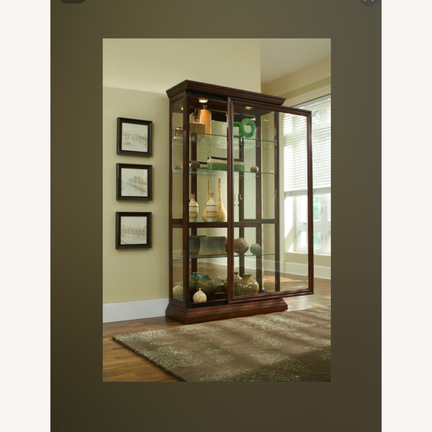 Pulaski Furniture Curio Dark Brown Bookcase - image-1