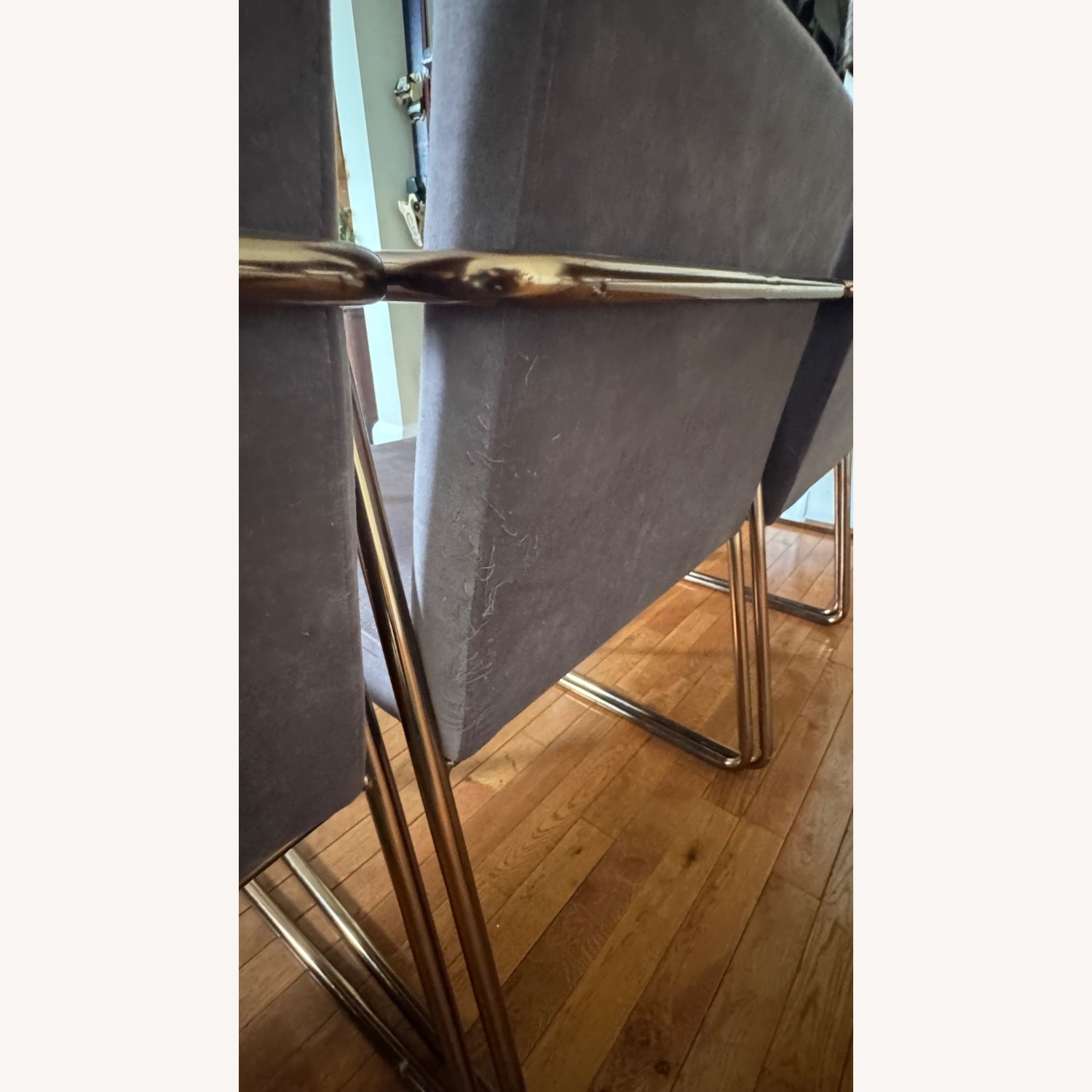 CB2 Rouka Dark Gray Velvet Dining Chairs - image-4