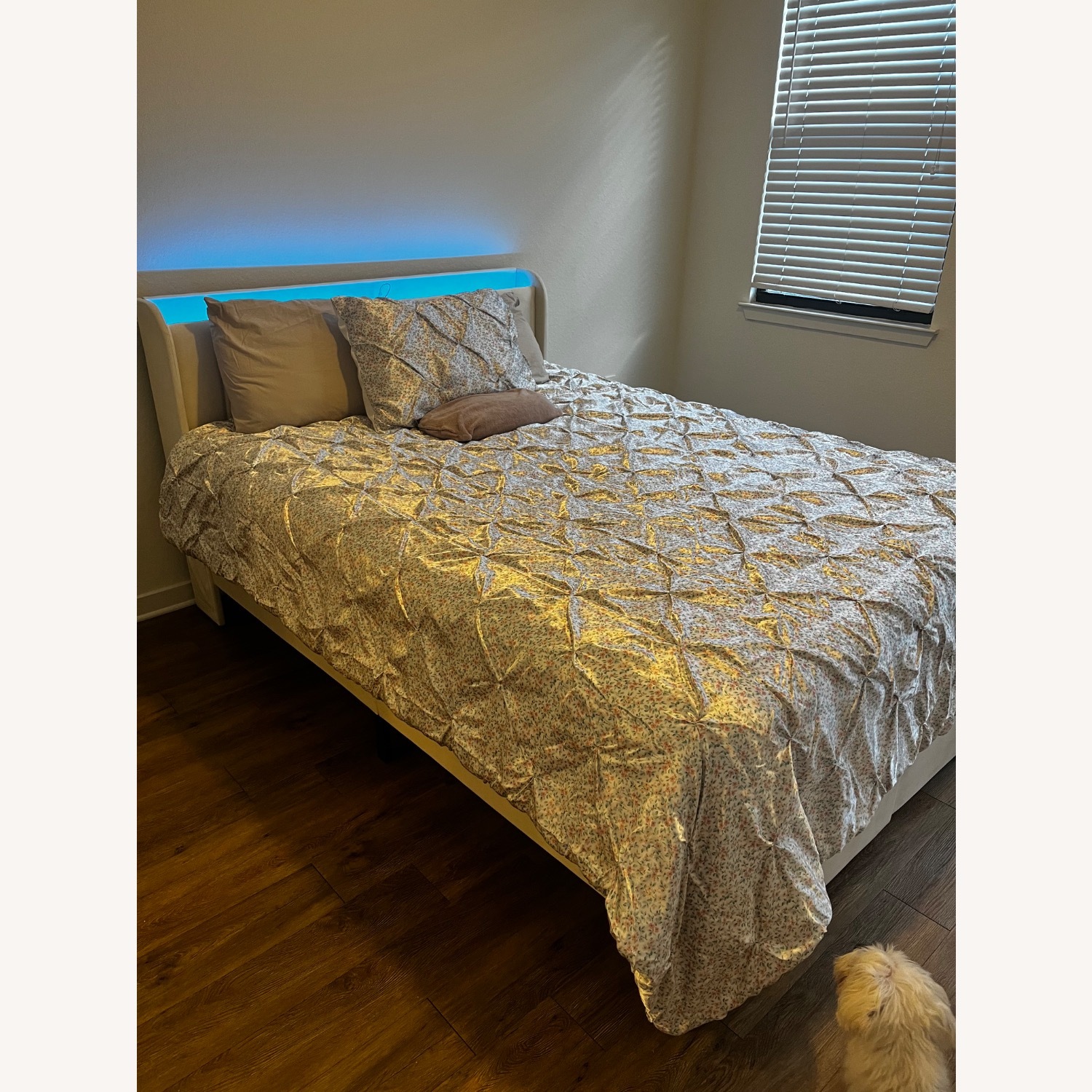 Amazon Tigubfre Bed Frame  - image-7