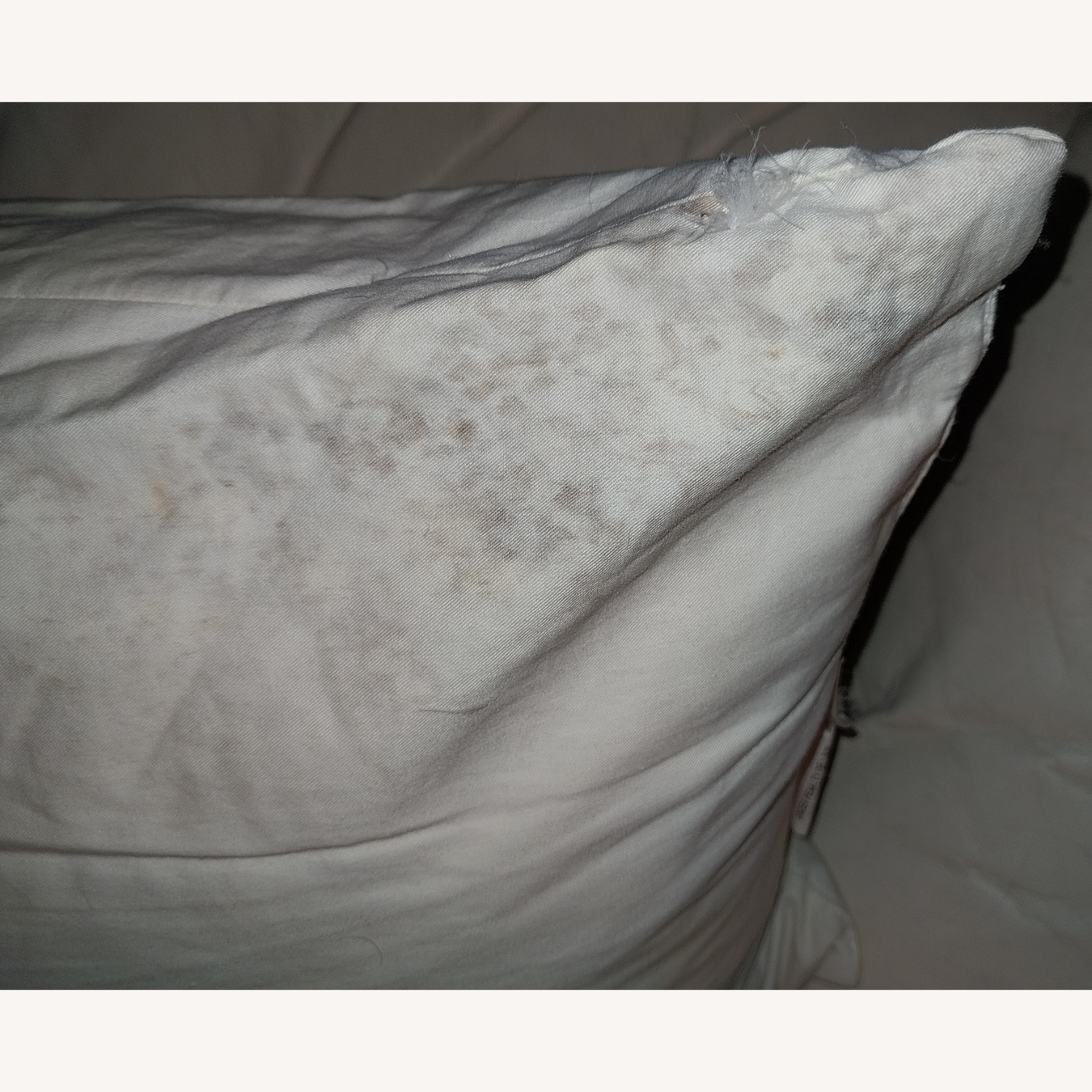 Pottery Barn Pillow - image-5