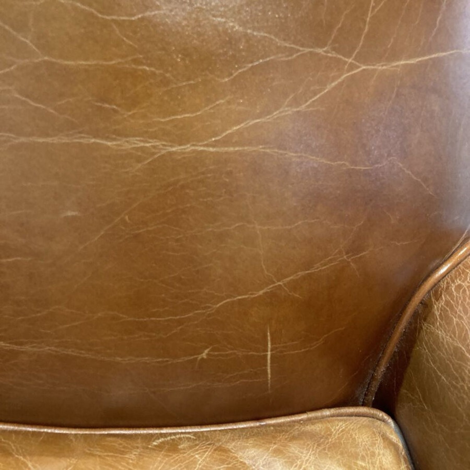 Pasargard Paris Leather Club Chair Luxurious Brown - image-10