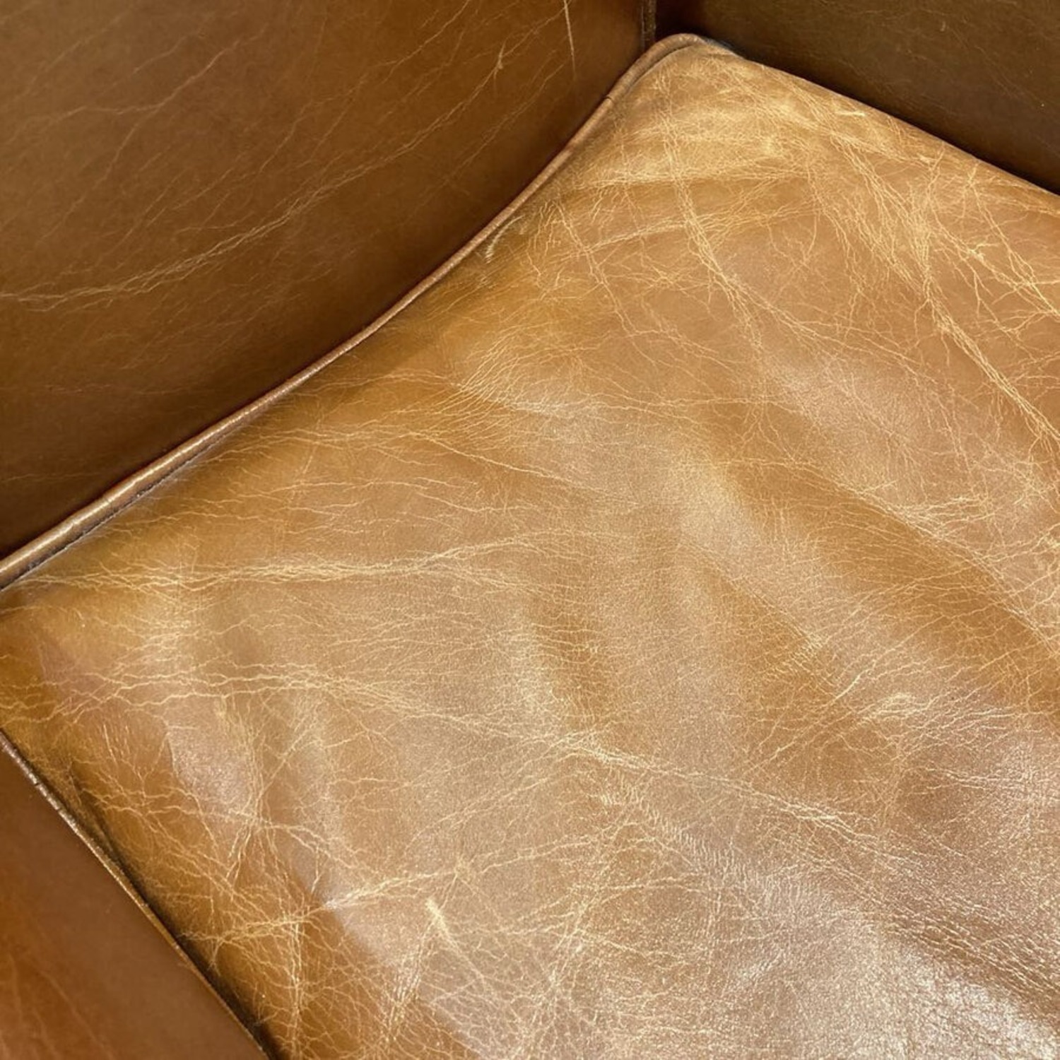 Pasargard Paris Leather Club Chair Luxurious Brown - image-7