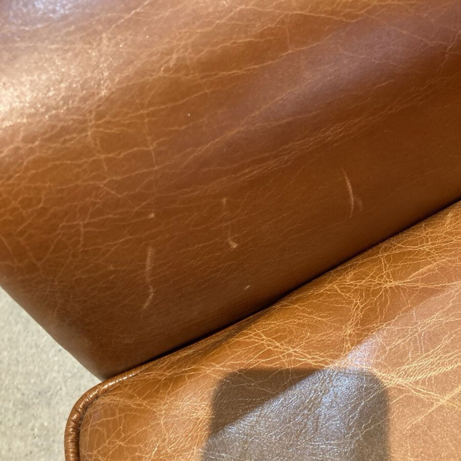 Pasargard Paris Leather Club Chair Luxurious Brown - image-11