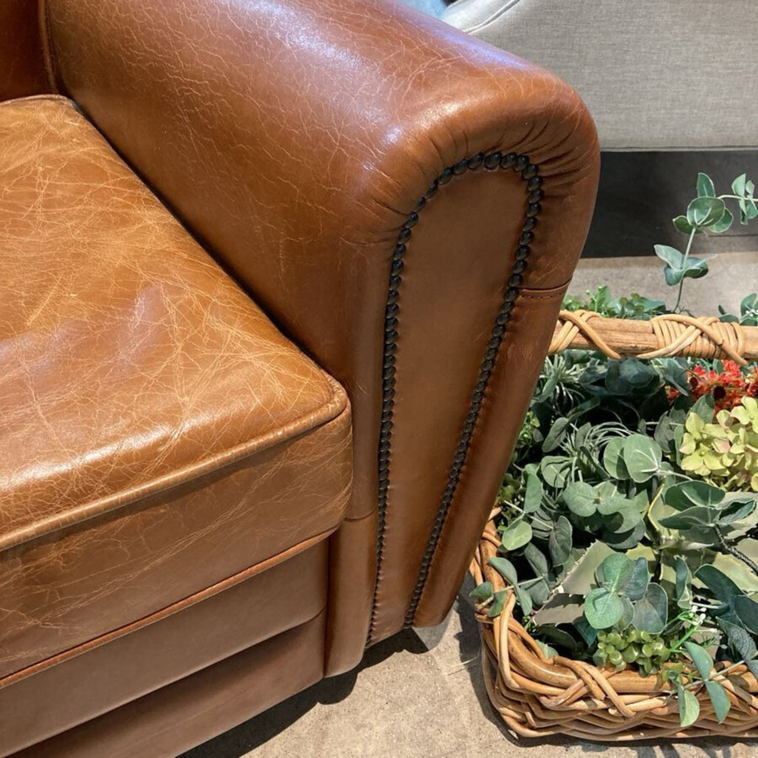 Pasargard Paris Leather Club Chair Luxurious Brown - image-5