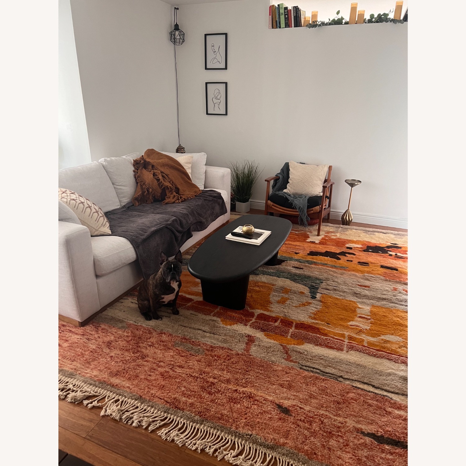 Wool Area Rug 8' x 10' - image-2