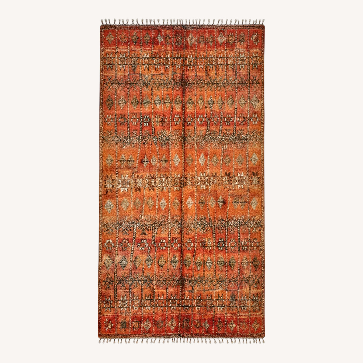 Vintage/Antique Finds Wool Area Rug 6' x 11' - image-0