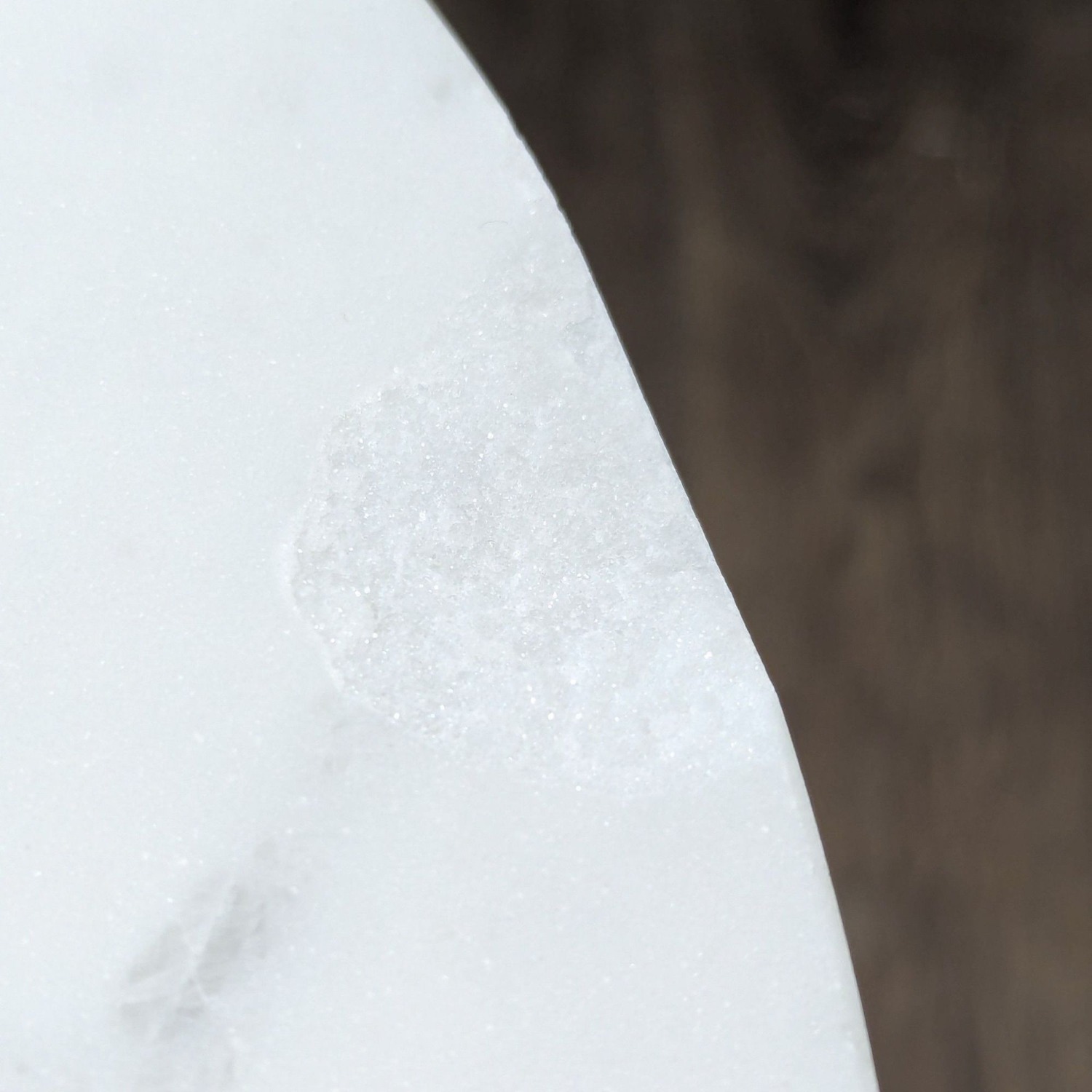 West Elm Maisie Side Table - image-5