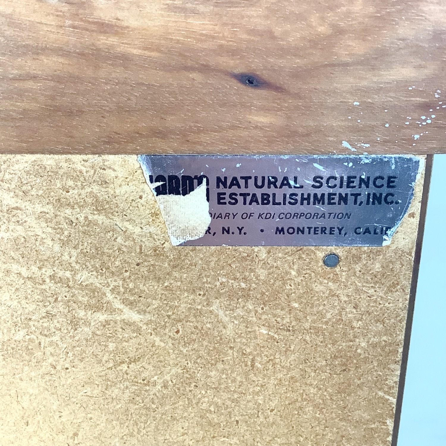  Ten-Drawer Museum Specimen Cabinet w/ Butcher Top - image-16