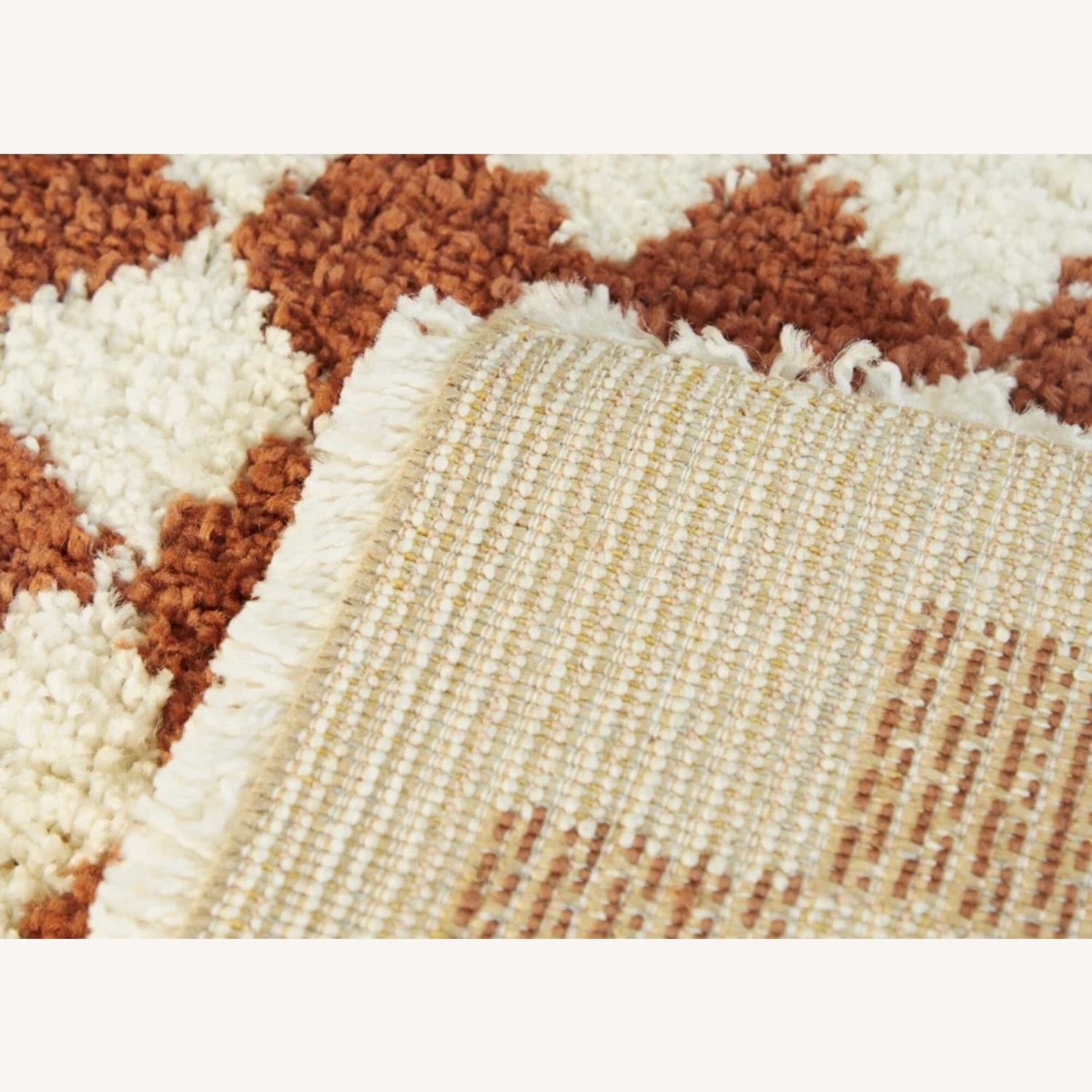 Wayfair Checkered Shag Rug - image-4