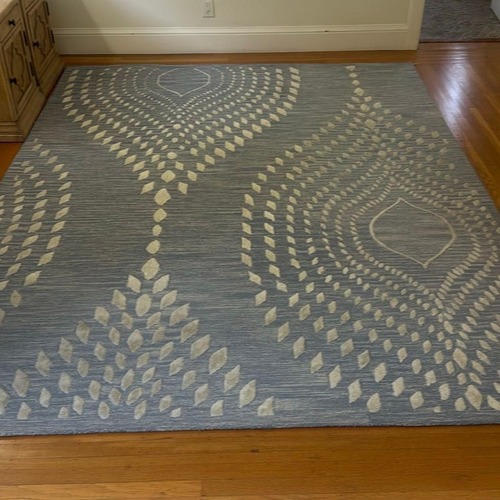 Used Safavieh Blue & Ivory Textured Modern Rug 8x10 for sale on AptDeco