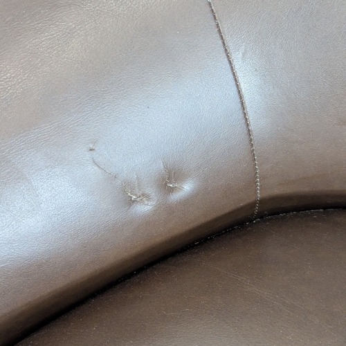 Used Article Brown Leather Swivel Lounge Chair - Modern for sale on AptDeco