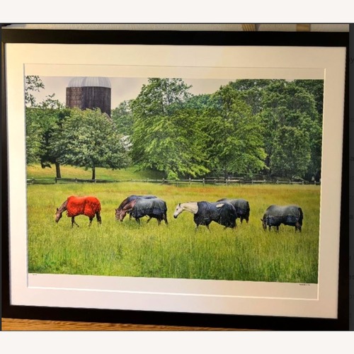 Used Horses in Rain Photograph: 42 x 54 for sale on AptDeco