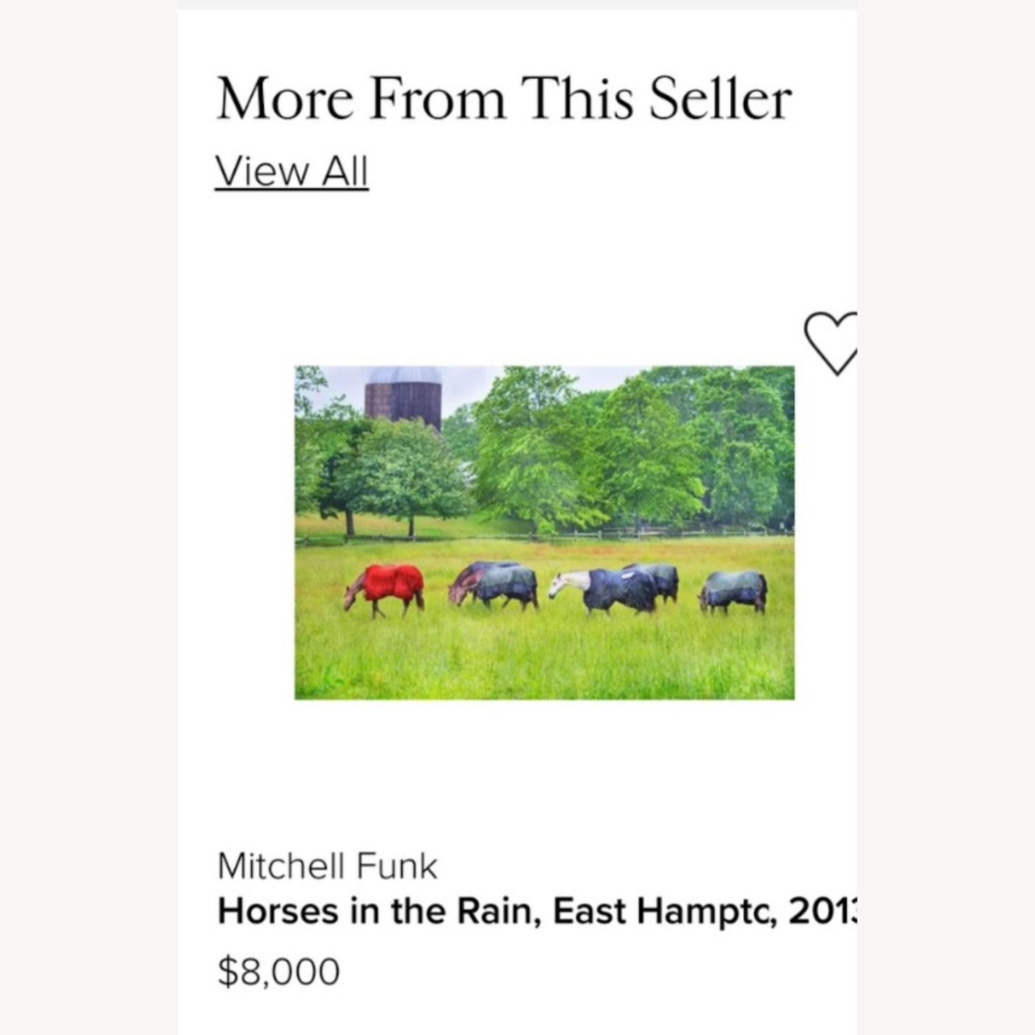 Horses in Rain Photograph: 42 x 54 - image-6