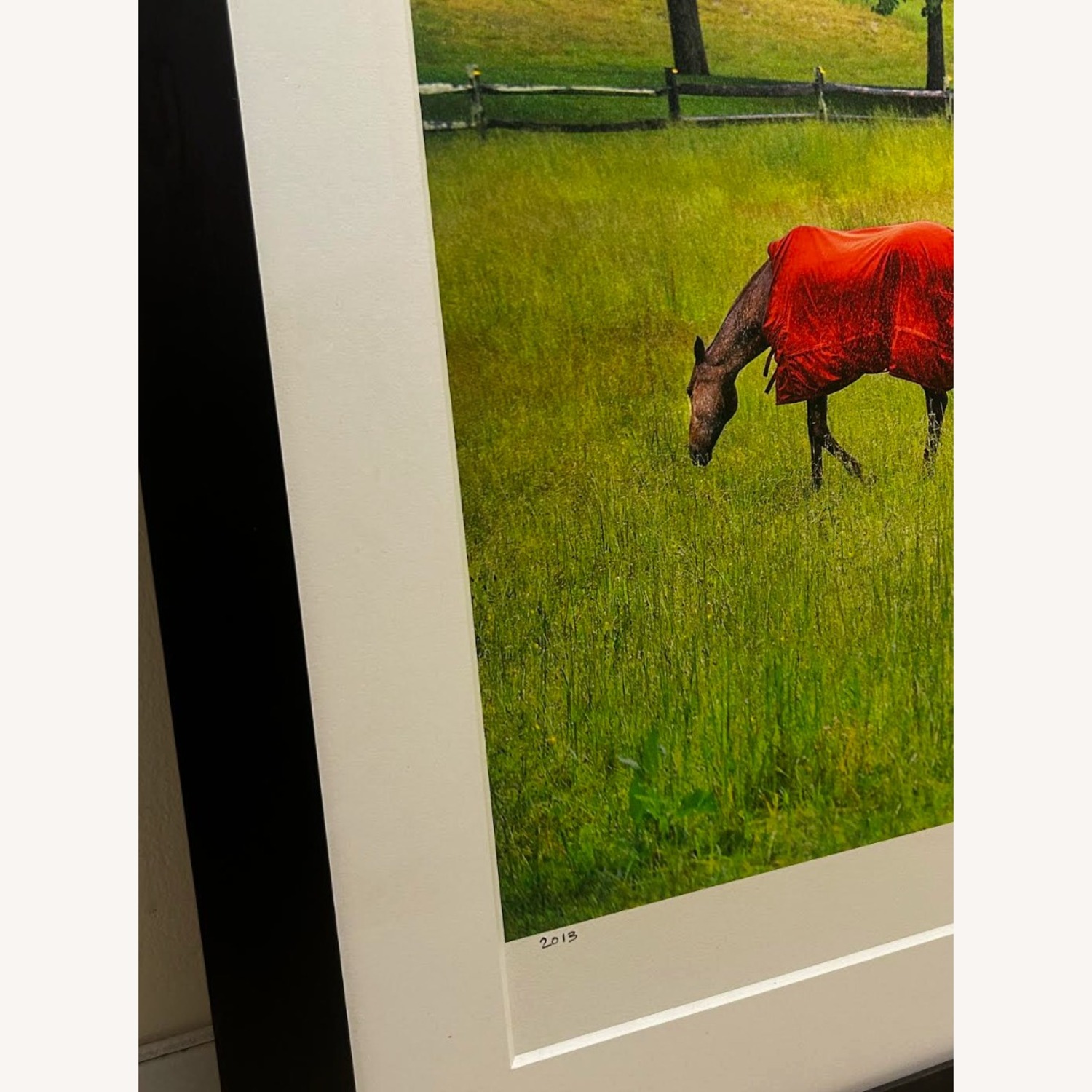 Horses in Rain Photograph: 42 x 54 - image-7