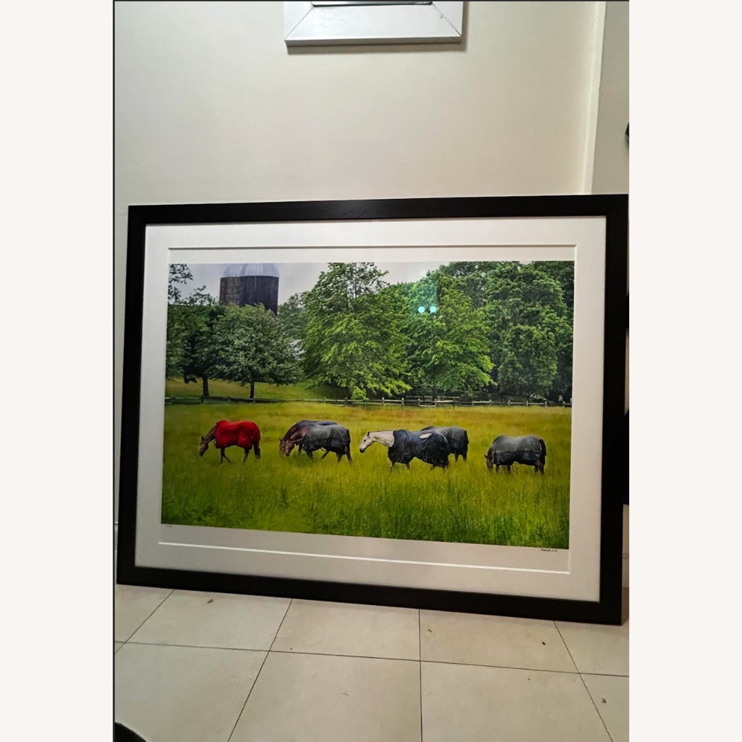 Horses in Rain Photograph: 42 x 54 - image-3