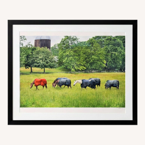 Used Horses in Rain Photograph: 42 x 54 for sale on AptDeco
