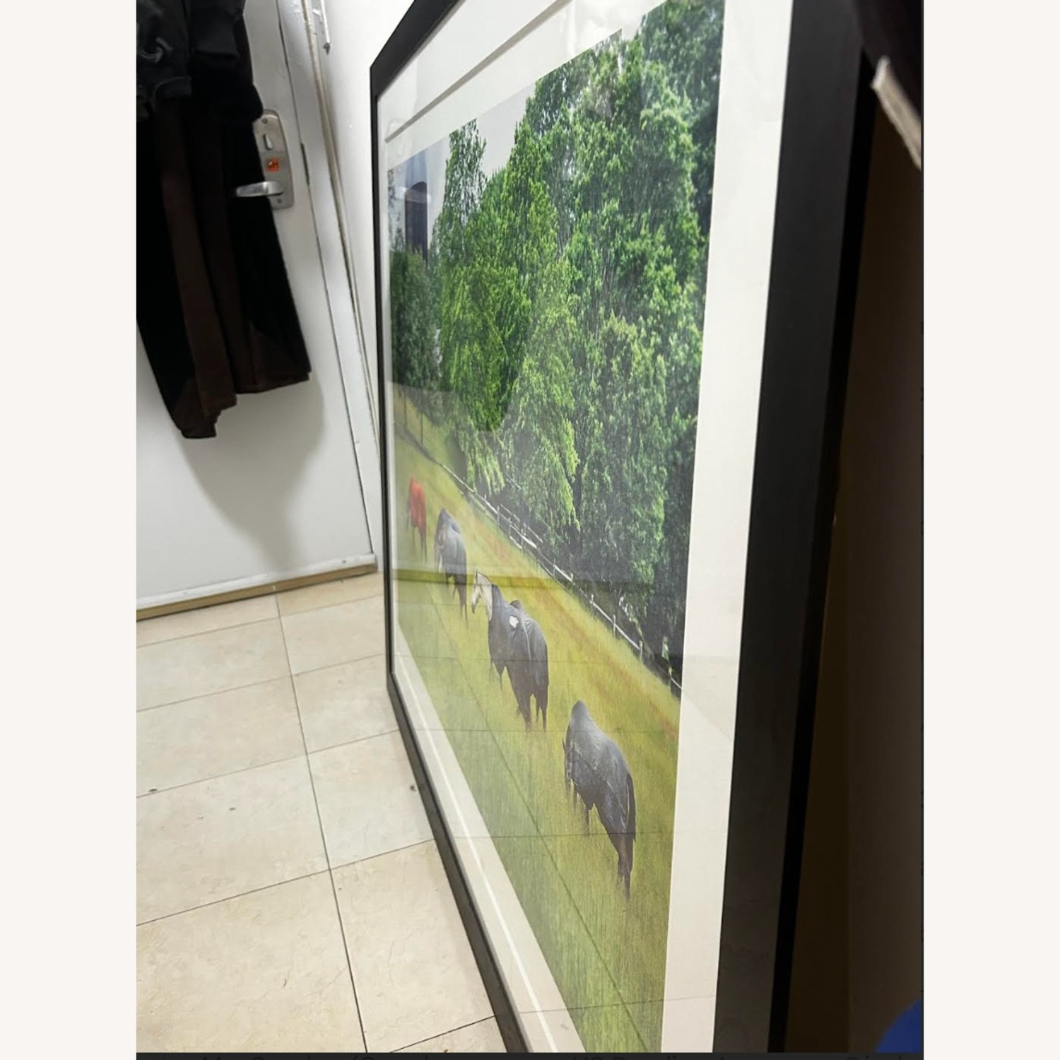 Horses in Rain Photograph: 42 x 54 - image-2
