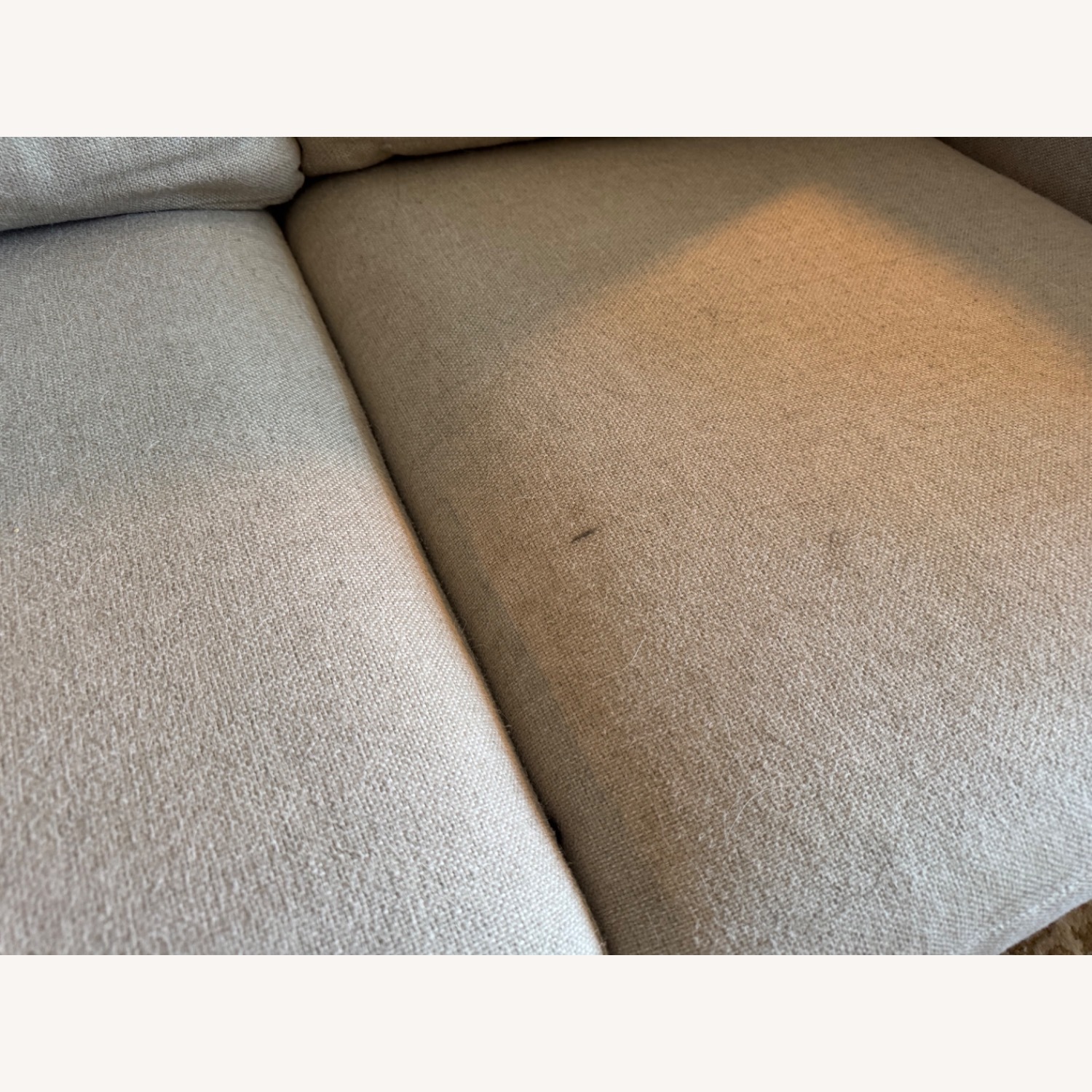 Room & Board Berin Beige Sleeper Sofa  - image-10