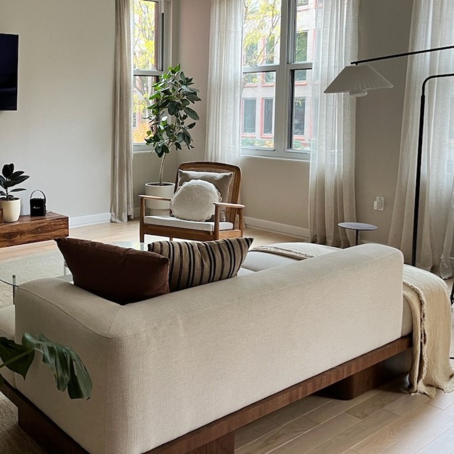 CB2 Serafin Daybed - image-2
